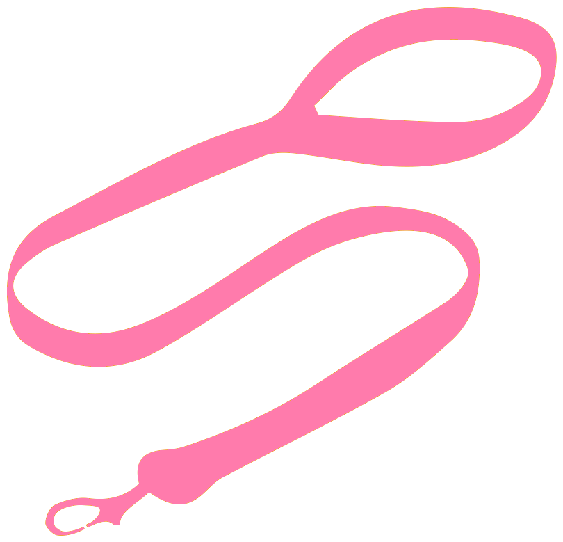 leash